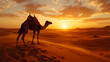 © Jatuporn - Camel in the Sahara desert at sunset