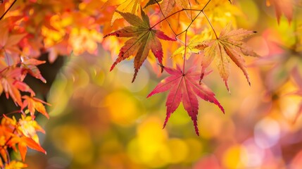 Wall Mural - A tree with many leaves is in full autumn color. The leaves are orange and yellow, and they are scattered throughout the tree