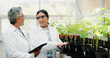 © peopleimages.com - Research, science and people with tablet, plants and collaboration with mentor, expert or advice. Women, employees and feedback with tech, knowledge and digital app for gmo results and agriculture