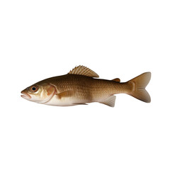 Wall Mural - TRANSPARENT PNG ULTRA HD 8K A solitary catfish floating with its whiskers, smooth body, and earthy tones standing out clearly against a transparent background