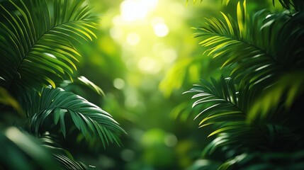 Poster - Tropical Sunlight Through Palm Leaves