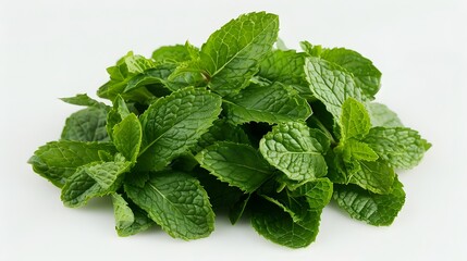 Mint leaf. Fresh mint on white background. Mint leaves isolated. Full depth of field. 