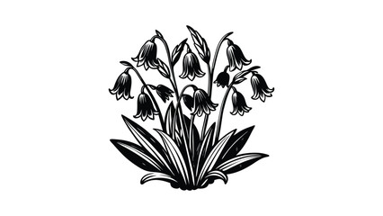 Bluebells flower vector silhouette illustration
on white background
