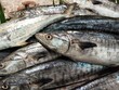 © Momo - fresh fish sold at the market