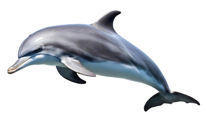 Wall Mural - Dolphin Png Mammal on a isolated on white background. Generative AI.