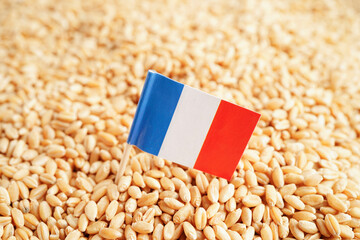 Wall Mural - France flag on grain wheat, trade export and economy concept.