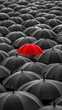 © Vasyl - A vibrant red umbrella stands alone amidst a sea of black umbrellas in a high-angle view, showcasing individuality and confidence in a crowded setting