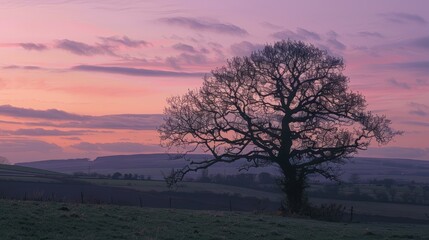 Wall Mural - Silhouetted Tree at Dusk