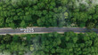 © Deemerwha studio - Aerial top view road in forest with car to start the new year 2025 Goal plan action, Business target and growth strategy. Business annual plan and development for achieving goals and success.