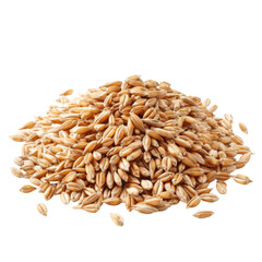 Pile of wheat grains isolated on transparent or white background