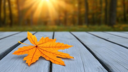 An orange maple leaf rests on a wooden table under the warm autumn sun, surrounded by a vibrant forest backdrop