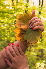 Sticker - Girl in the autumn forest