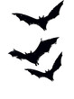 © Tran - Bat silhouette flying on transparent background. PNG