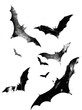 © Tran - Bats flying in the night