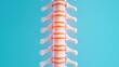 © Arthur Constantine - Detailed Medical Illustration of Human Vertebrae with Spinal Column Anatomy, Copy Space for Text, 8K Resolution
