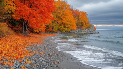 Coastal landscape featuring vibrant autumn foliage along a rocky shoreline