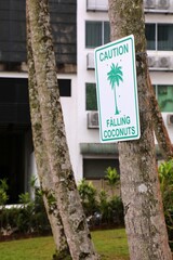 Falling coconuts warning sign in Malaysia