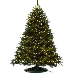 Wall Mural - [transparent background png]christmas tree with lights and stand