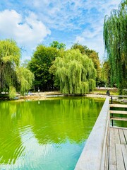 lake in the park