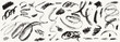 © Katsyarina - Charcoal or black wax crayons abstract textured swirls and scribbles set. Distressed contemporary grunge chalk or calligraphic brush elements collection. Hand drawn distress damaged edge punk scrawls.