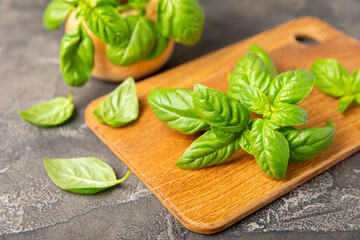 Green basil leaves on a textured wooden background. Kitchen herbs, spices. Fresh green organic basil. Vegan. Greens for salad. Place for text. Copy space.