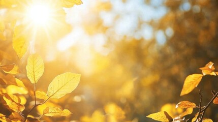 Wall Mural - A close up of a yellow leaf with the sun shining through it, AI