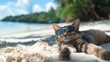 © Galib - A cat wearing sunglasses is relaxing on a beach.