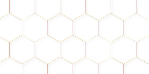 Hexagon shape white clean 3d vector format abstract design background for desktop 