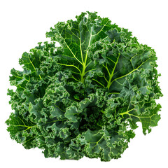 Fresh Kale isolated on a transparent background