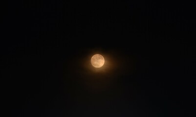 Wall Mural - yellow full moon covering by cloud floating on sky in night background