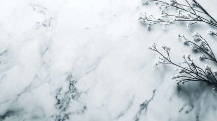 Poster - Delicate white flowers on a marble surface with a minimalist aesthetic