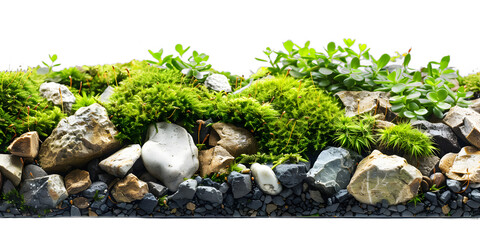 Sticker - [Transparent Background PNG]Green Moss and Rocks on White Background