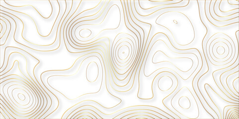 Wall Mural - Abstract white colorful golden Topographic line map background. Contour elevation topographic and textured Background Modern design with White background with topographic wavy pate for decoration.	