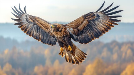 A large brown and black eagle is flying through the air