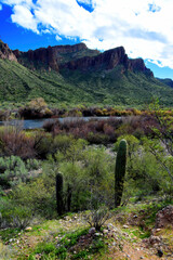 Salt River Recreation Area Arizona