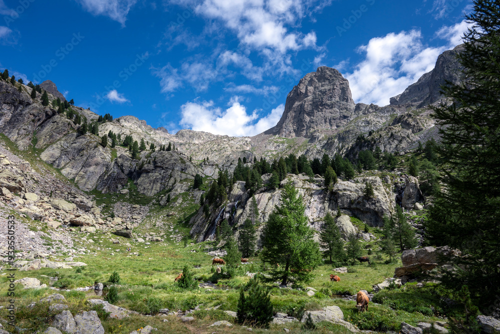 Paysage de montagne dans le secteur du Boréon dans le Parc National du ...