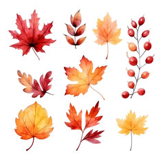 a collection of watercolor autumn leaves, including maple, oak, and birch, in shades of red, orange,
