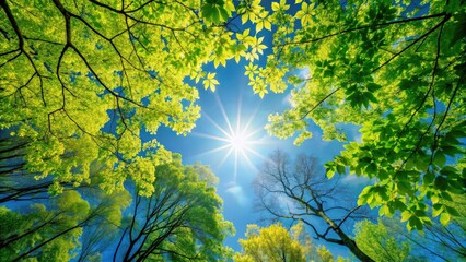 Poster - Vibrant new leaves, clear blue sky, and sunlight filtering through the trees, spring, green, lush, foliage, nature