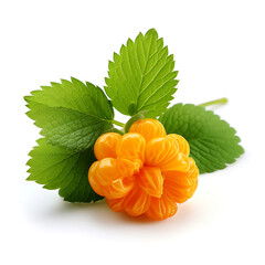 Wall Mural - Cloudberry isolated on white background