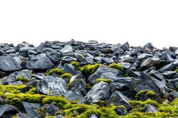 Canvas Print - [Transparent Background PNG]Gray Rocks Covered in Green Moss