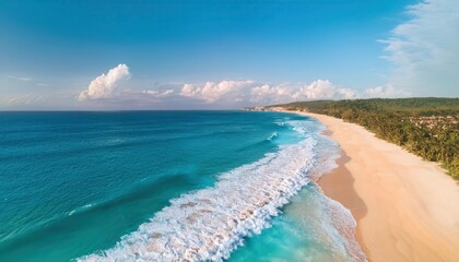 Wall Mural - aerial view of beautiful tropical white sand beach