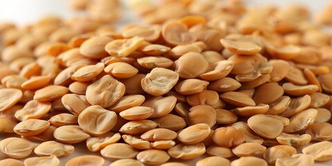 Canvas Print - close up of seeds