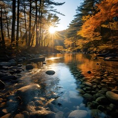 Poster - a river with rocks and trees in the background. 