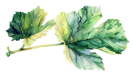 Wall Mural - Fig Leaf watercolor style