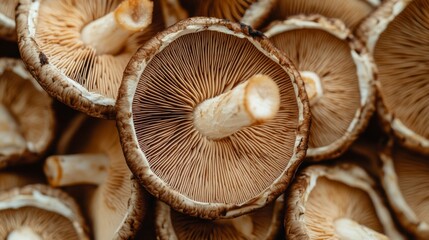 Fototapete - High-resolution close-up of sliced shiitake mushrooms, highlighting the intricate patterns and rich color of the mushroom flesh against a clean background.