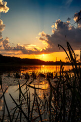 Wall Mural - Sunset at coast of the lake. Nature landscape. Nature in northern Europe. reflection, blue sky and yellow sunlight. Landscape during sunset.