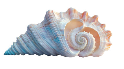 A 3D seashell with intricate details, soft pastel colors, isolated on a transparent background