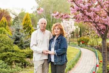 Wall Mural - Senior couple in summer nature, senior couple relax in spring summer time near sakura blooming tree wearing Ukrainian embroidered shirt