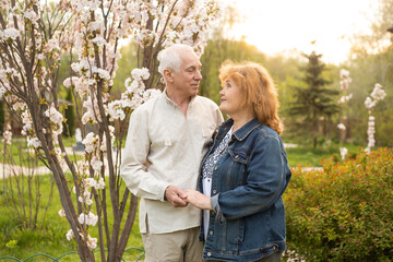 Wall Mural - Happy old elderly caucasian couple smiling in park on sunny day, senior couple relax in spring summer time. Healthcare lifestyle elderly retirement love couple together valentines day concept