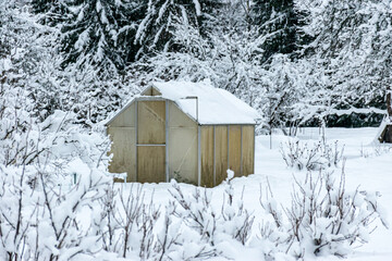 Wall Mural - garden in winter, greenhouse covered with snow, trees, garden house and garden accessories